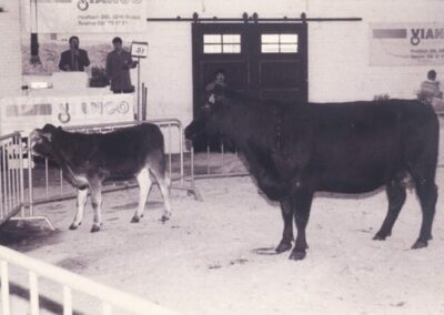 Markthalle Brugg